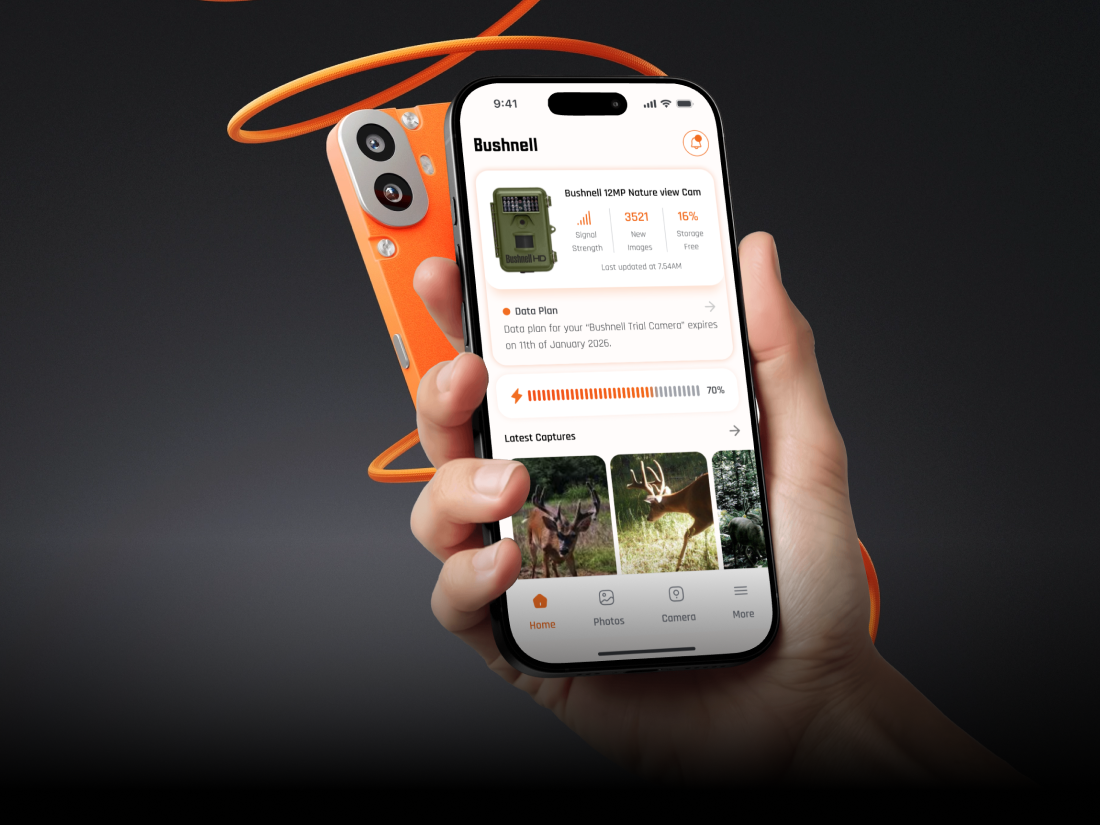 Basket Overlay Project